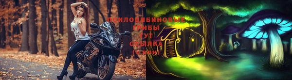 мдма Приозерск