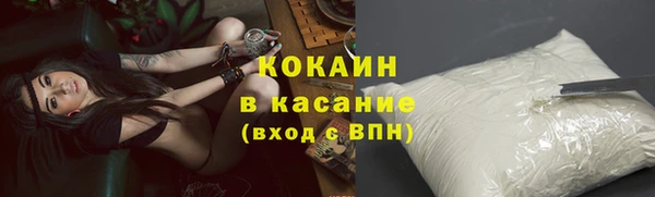 mdpv Вяземский