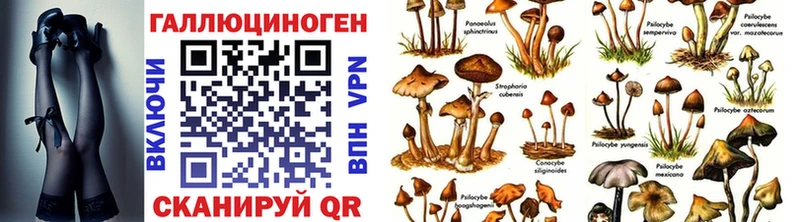 Галлюциногенные грибы Psilocybine cubensis Купить Солнечногорск